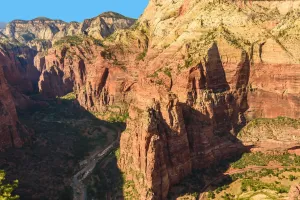 Ways to Wake to Zion