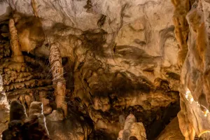 Fósiles de Otro Mundo