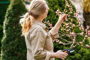 Hơn cả vẻ bề ngoài