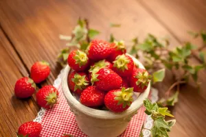 Bí Kíp Trồng Dâu Tây Tại Nhà