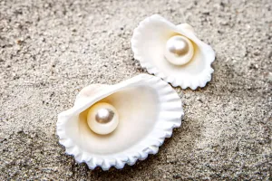 İncinin Parıltısı