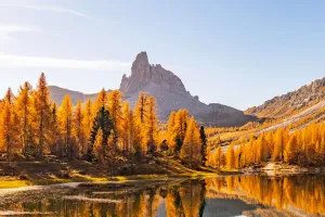 Hồ gương vùng núi Alps