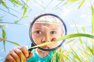 Xem, học, trưởng thành