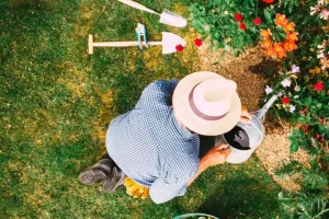 Xu hướng làm vườn năm 2026