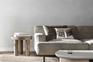 Vieda tīrīšanas sistēma