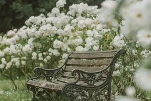 Идеальное место отдыха