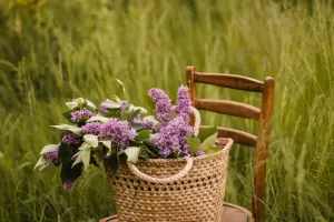 Свежесть цветов