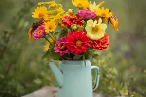 Gartenbewässerungs-Guide