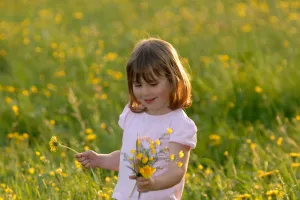 Segredo das flores
