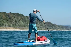 Баланс на воде