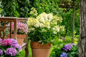 Jardín Imperfecto
