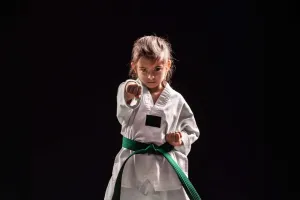Taekwondo Basics