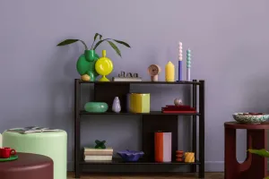 Tiny Space, Big Life