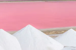 Adicción a la Sal