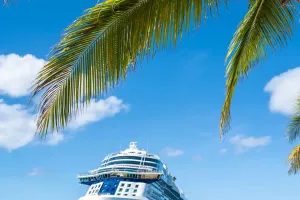 Hantavirus y Cruceros