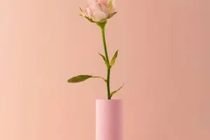 Ý nghĩa của hoa hồng