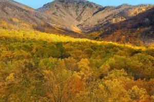 Smokies: America's Free Park