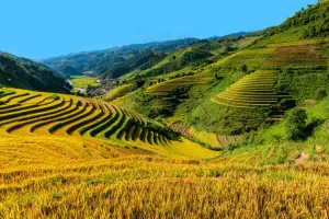 Mu Cang Chai on Budget