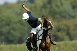 Polo Game Rules