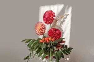 La profondeur florale