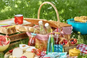 Kế hoạch dã ngoại hoàn hảo