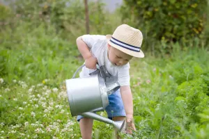 Garden Watering Tips
