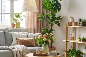 Decoração 2026
