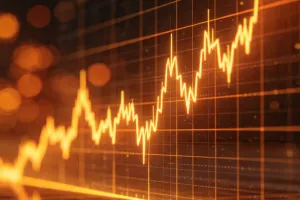 L’optimisation du TRI