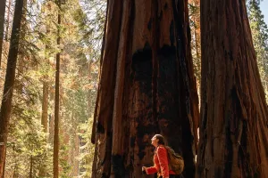 Hiking Gear Essentials