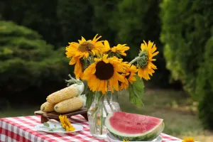 Perfektes Picknick