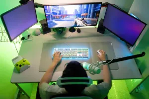 Perfil gamer Brasil
