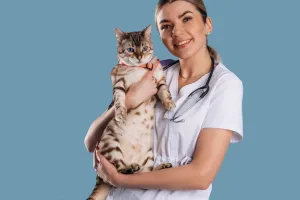 Controlul veterinar ideal