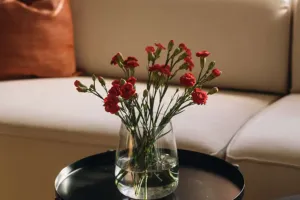 Нежность гвоздик дома
