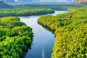 Eksplorasi Teluk Phang Nga