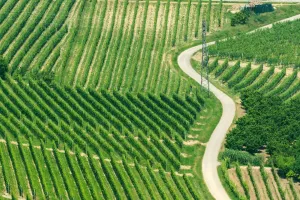 Khám Phá Vùng Langhe