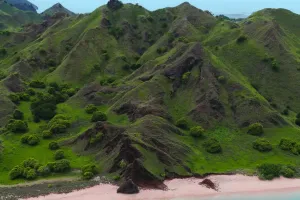 Keajaiban Pink Beach