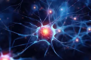 Computación Neuromórfica