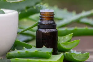 Aloe Vera Mucizesi