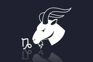Capricorn Romance