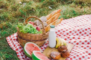 Fresh Picnic Guide
