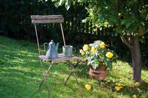 Green Garden Starter Guide