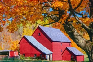 Vermontas rudens šķūņi