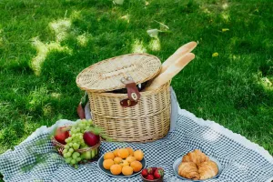 Spring Picnic Bliss
