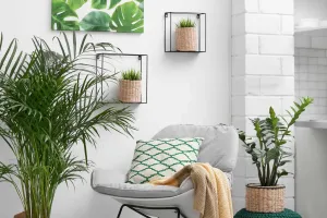 Seasonal Home Refresh