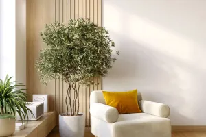 Trang Trí Nhà Bằng Cây Xanh