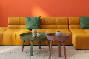 Sofa Color Guide