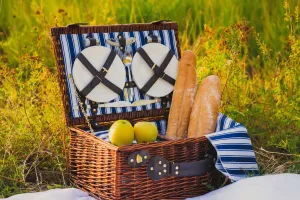 Outdoor Picnic Tips & Ideas