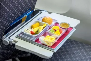 Misterul meselor din avion