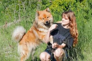 Glückliche Hunde