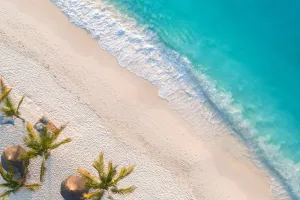 Dreamy White Sands